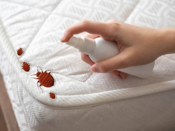 Best Emergency Pest Control  in Temperance, MI